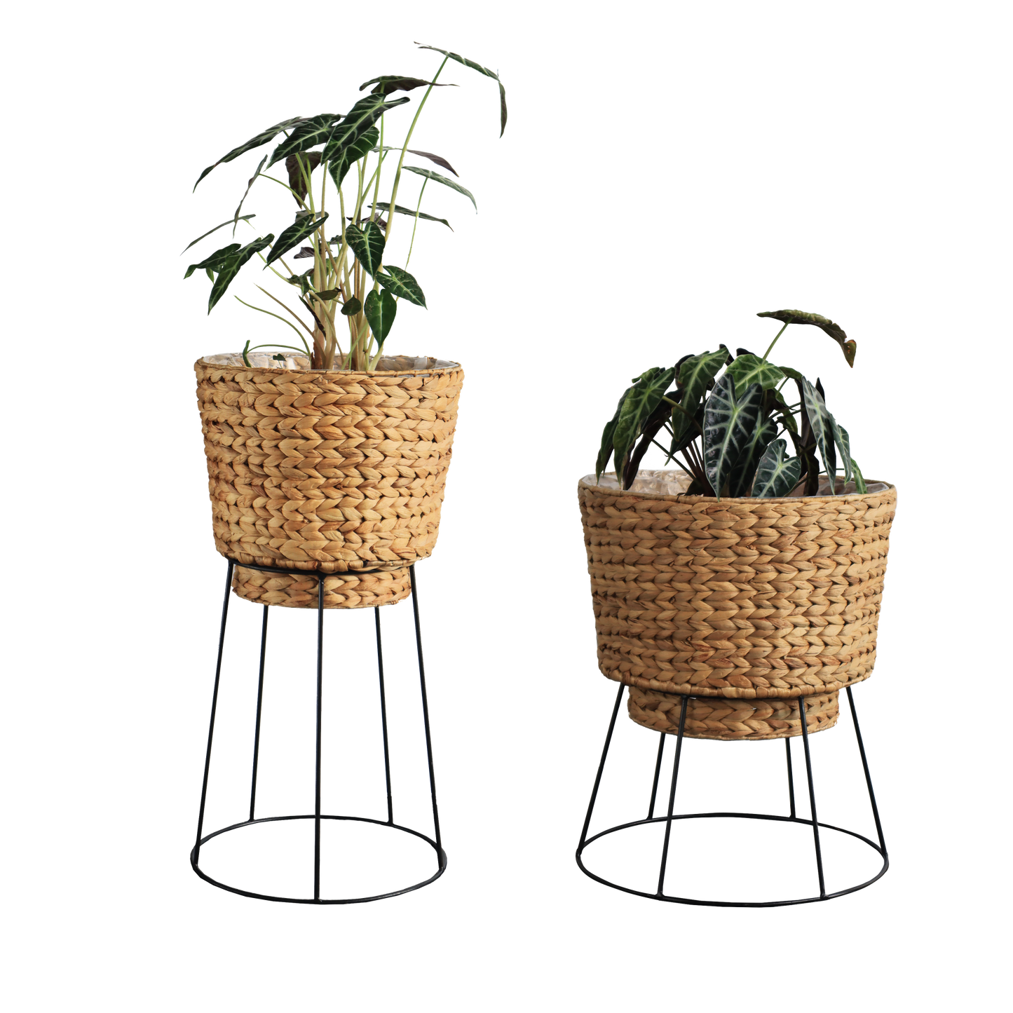 Eden Grace Set of 2 Hand Woven Wicker Planters with Metal Stand - Made with Eco-Friendly Sustainable Water Hyacinth