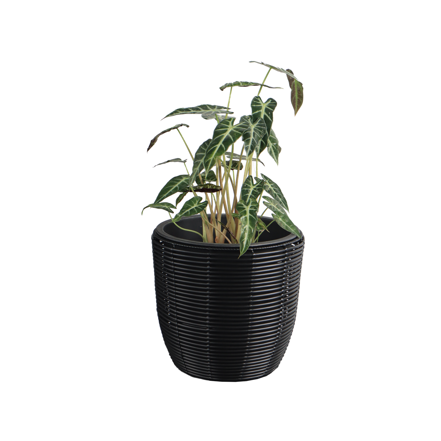 Eden Grace Set of 3 Hand Woven Round Wicker Planters - Made with Eco-Friendly Resin - Comes with Polyethylene Pot inside